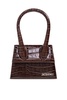 Jacquemus Handbag Le Chiquito Moyen