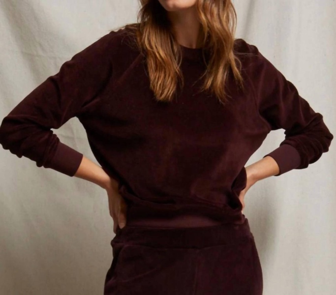 stella velour sweatshirt in blackberry