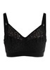 Norah lace bralette