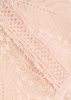 Comete lace briefs
