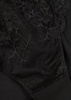 Reve lace briefs 