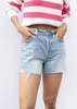 connor high rise shorts in oahu vintage