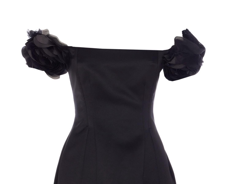 Elisabetta Franchi Dresses