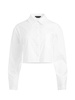 FINELY CROPPED BUTTON DOWN