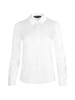 BRADY SLIM BUTTON DOWN