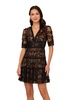 Adrianna Papell Women's Lace Embroidery Dress