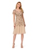 Adrianna Papell Women's Beaded Lace Dress