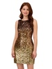 Adrianna Papell Women's Ombre Sequin Sheath Dress
