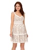 Adrianna Papell Women's Lace Embroidery Flutter Dress