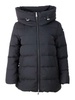 Add Coats