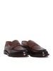 Doucal's Mocassin