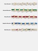 Custom Tennis Bracelet