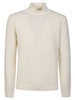 Turtle Neck Sweater