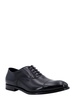 Oxford Cap Toe