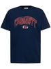 Lecture cotton t-shirt