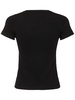 America cotton & cashmere t-shirt