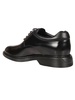 Hogan Derbies
