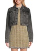 Tressa Boxy Cropped Jacket