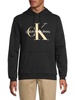 Logo Heathered Hoodie