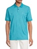 Gulf Coast Striped Polo