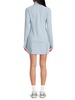 Westside Mock Collar Minidress