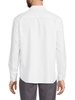 Point Collar Shirt