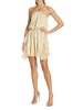 Asia Georgette Mini Dress