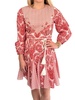diandra dress in red game day print