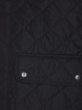 New lowerdale vest