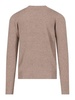Crewneck sweater