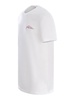T-Shirt  In Cotton