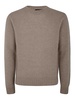 Man Sweater