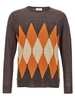 Argyle Sweaters And Cardigans Brown