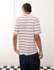 Dickies Lewistown striped t-shirt in red and white