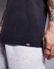 Dickies Plentywood acid wash t-shirt in black
