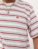 Dickies Lewistown striped t-shirt in red and white