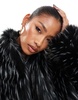 Aria Cove cropped faux fur oversized collar jacket in black