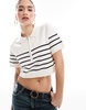 Brave Soul cropped knit t-shirt with collar in cream and black stripe