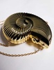 ASOS DESIGN round ammonite shell clutch bag with crossbody chain strap in gold
