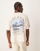 Abercrombie & Fitch National Parks Mount Rainer back print crop T-shirt in moonbeam
