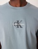 Calvin Klein Jeans monologo t-shirt in gray