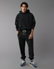 ae heavyweight fleece jogger