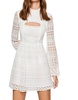lace mini dress peak a boo long sleeve flare dress in ivory
