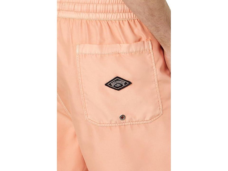 All Day Overdye Layback Volley Boardshort
