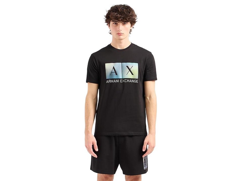 Regular Fit Cotton Gradiant Box Logo Tee