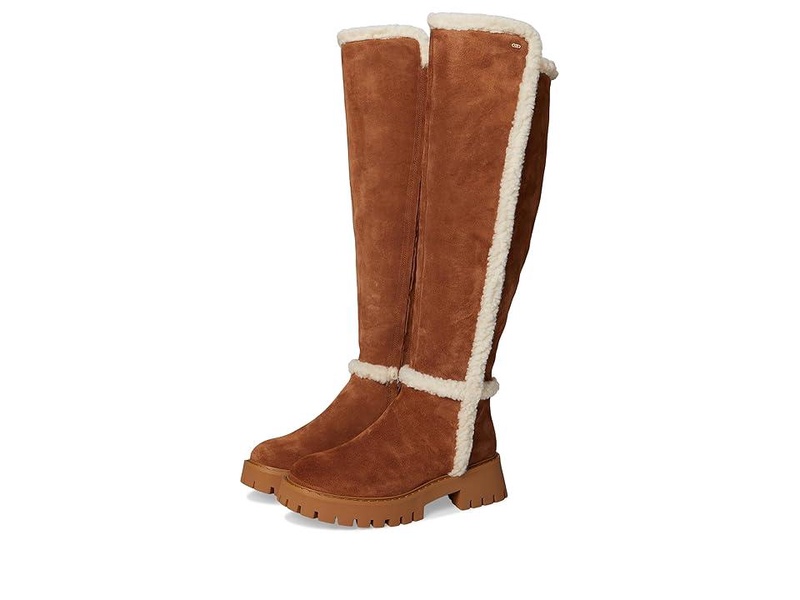 Asher Boots