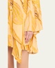 Kazan Printed Scarf Shirtdress
