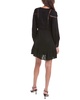 IRO Bilam Mini Dress