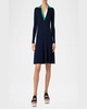 Colorblock Polo Knit A-Line Dress