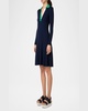 Colorblock Polo Knit A-Line Dress